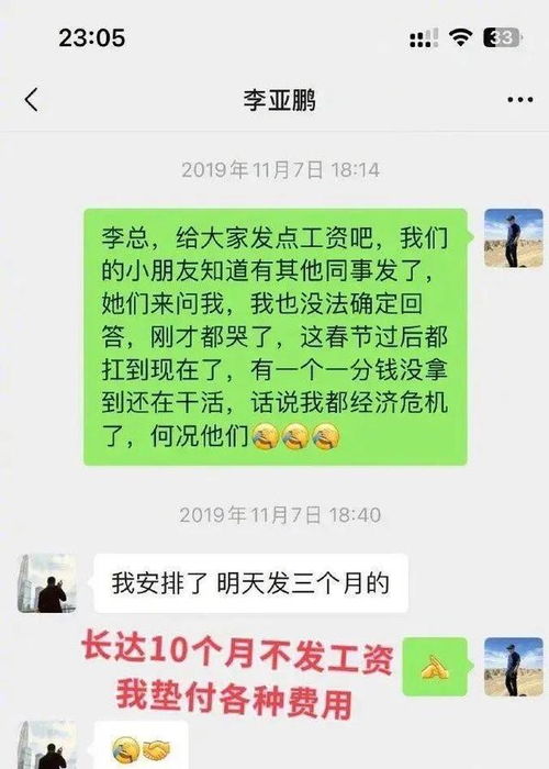 李亚鹏致歉承诺还款，商业转型 180天带货98场创2.6亿销售额